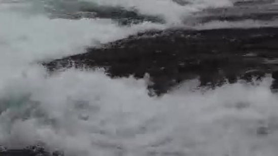 Leap of Faith Discover the Outdoors